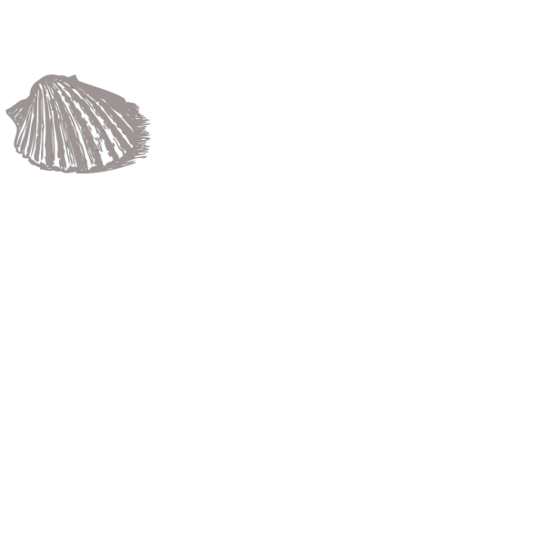 Shellfish Clam PNG Clip art