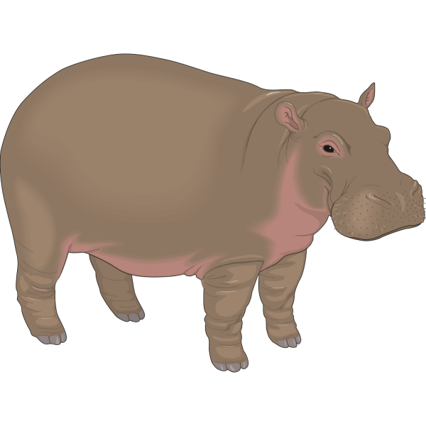 Hippopotamus 3 PNG Clip art