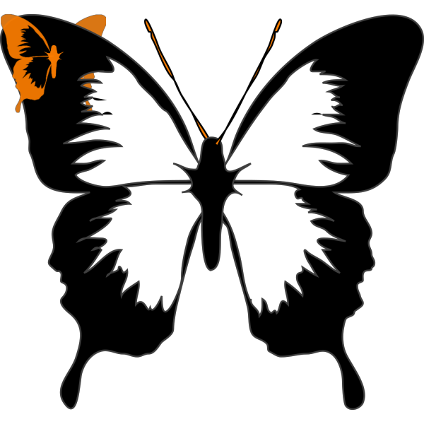 Butterfly Black PNG images