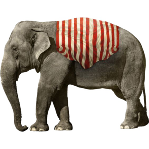 African Elephant PNG Picture PNG Clip art