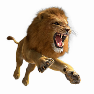 African Lion PNG Image PNG Clip art