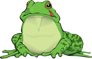 Amphibian PNG Free Download PNG Clip art