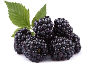Blackberry Fruit PNG Free Download PNG Clip art