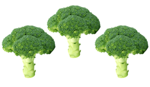 Broccoli PNG Free Image PNG Clip art
