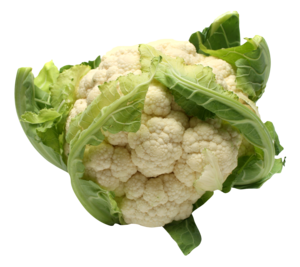 Cauliflower PNG File Download Free PNG Clip art