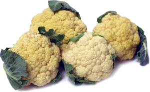 Cauliflower PNG Image Free Download PNG Clip art