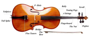 Cello PNG Picture PNG Clip art