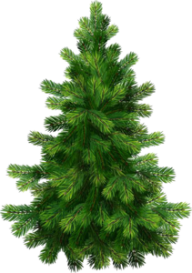 Christmas Nature PNG Image PNG Clip art