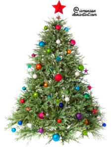 Christmas Tree PNG Transparent Image PNG Clip art
