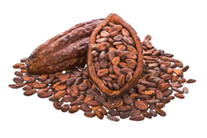 Cocoa Beans PNG Image PNG Clip art