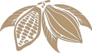 Cocoa Beans PNG Transparent Image PNG Clip art