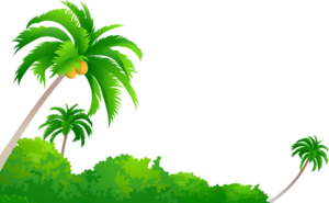 Coconut Tree PNG Image PNG Clip art