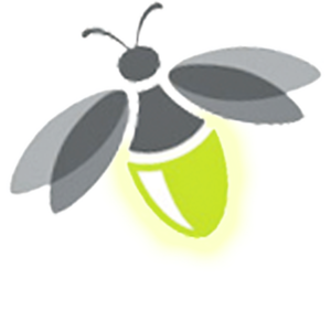 Firefly Transparent PNG PNG Clip art