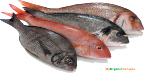 Fish Meat PNG File PNG Clip art