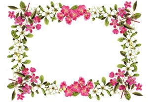 Floral Frame PNG Image PNG Clip art