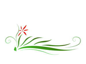 Floral PNG HD PNG Clip art