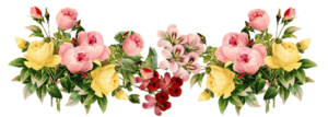 Floral PNG Transparent Picture PNG Clip art