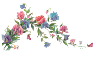 Floral Transparent PNG PNG Clip art