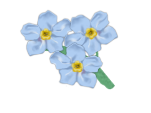 Forget Me Not PNG Transparent Picture PNG Clip art