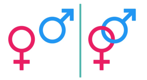 Gender PNG Free Download PNG Clip art