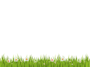 Green Background PNG Clipart PNG Clip art