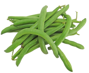 Green Beans PNG Image PNG Clip art