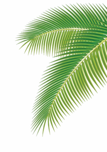 Green Palm Leaves PNG Clipart PNG Clip art