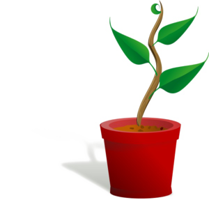 Growing Plant PNG Free Download PNG Clip art