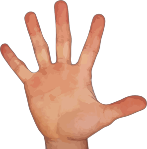 Hand With Five Fingers PNG PNG Clip art