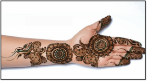 Mehendi Hand Designs PNG Photos PNG Clip art