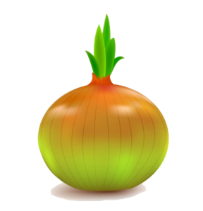 Onion Vector PNG File PNG Clip art