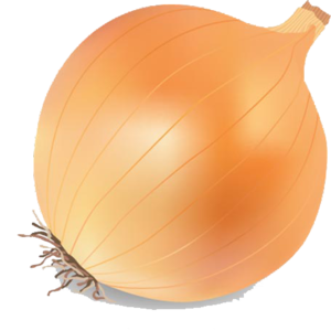 Onion Vector PNG Transparent Image PNG Clip art