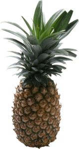 Pineapple PNG No Background PNG Clip art