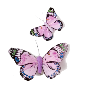 Pink Butterfly Transparent PNG PNG Clip art