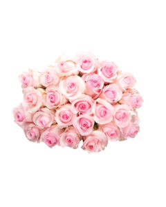 Pink Roses Flowers Bouquet PNG Pic PNG Clip art