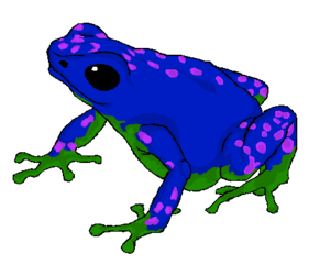 Poison Dart Frog Transparent Images PNG PNG Clip art