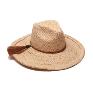 Raffia Hat PNG Image PNG Clip art