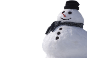 Real Snowman PNG PNG Clip art