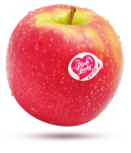 Red Apple PNG Free Download PNG Clip art
