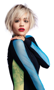 Rita Ora PNG Transparent PNG Clip art