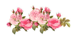 Romantic Pink Flower Border PNG Photos PNG Clip art