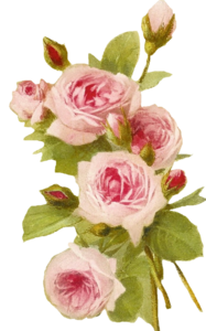 Romantic Pink Flower Border PNG Transparent PNG Clip art