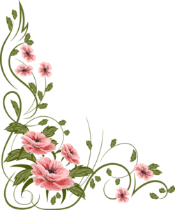 Romantic Pink Flower Border Transparent Background PNG Clip art