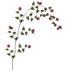 Rose Vine PNG File PNG Clip art