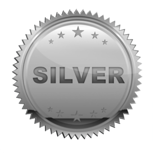 Silver Transparent PNG PNG Clip art