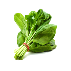 Spinach PNG Free Download PNG Clip art