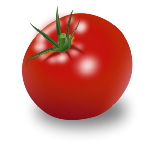 Tomato Vector Free PNG PNG Clip art