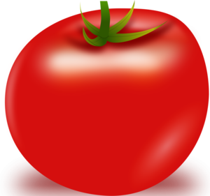 Tomato Vector PNG PNG Clip art