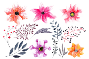 Watercolor Flowers PNG HD Photo PNG Clip art