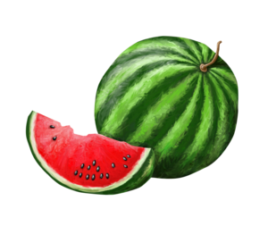 Watermelon PNG Background PNG Clip art